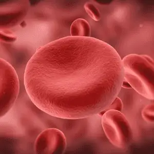 Platelet-Rich-Plasma